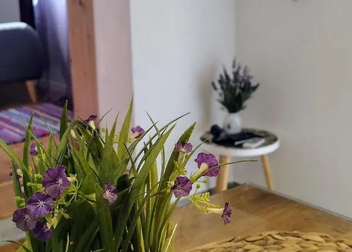 Apartamento Lilly Pula