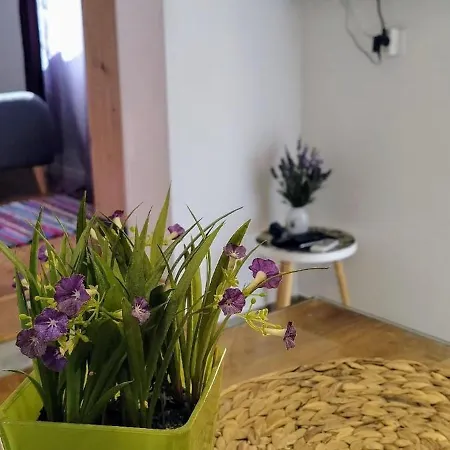 Apartment Lilly Pula